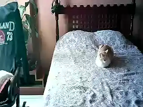 2mgars online show from January 17, 2026, 4:10 pm