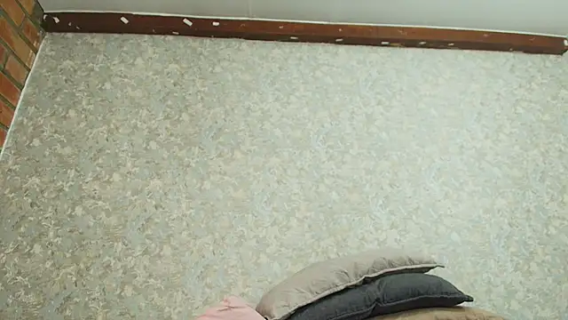 nicol f online show from October 1, 2025, 7:18 pm