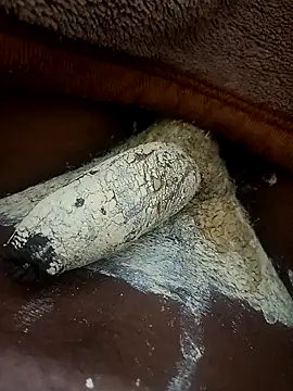 Snapshot of CuteyCouple chatting on March 22, 2026, 6:53 pm CuteyCouple online show from March 22, 2026, 6:53 pm