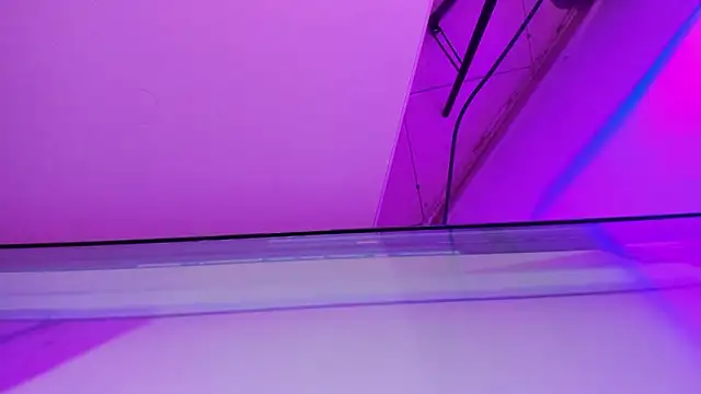 sarah  bigboobs online show from March 21, 2026, 10:20 am