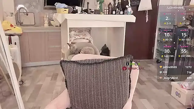 Snapshot of -XunMengLong- chatting on December 5, 2024, 11:01 pm -XunMengLong- online show from December 5, 2024, 11:01 pm