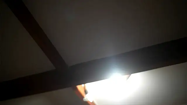 Bellis Perenis online show from February 27, 2026, 9:09 am