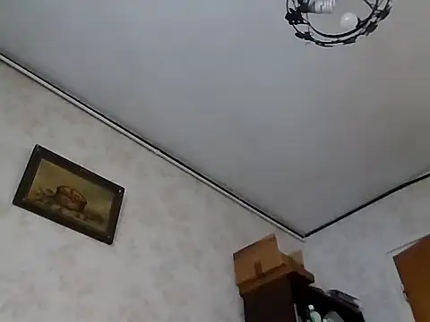 mariusica1xh online show from November 1, 2025, 11:48 am