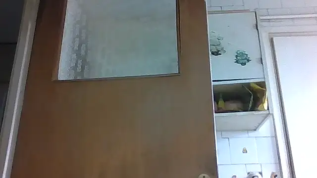 Snapshot of mariusica1@xh chatting on February 13, 2026, 11:21 am mariusica1xh online show from February 13, 2026, 11:21 am