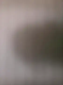 Snapshot of mrwright878787 chatting on October 4, 2025, 1:45 pm mrwright878787 online show from October 4, 2025, 1:45 pm