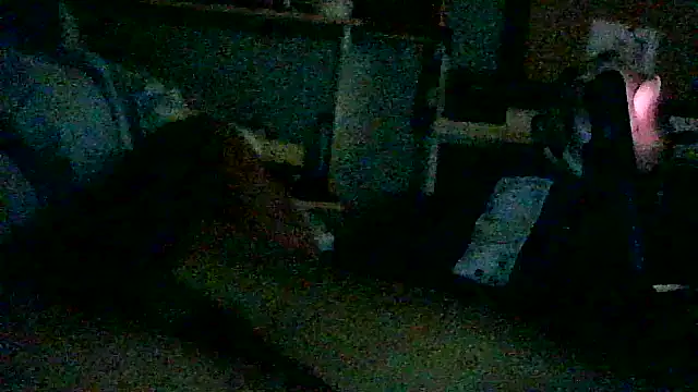 DI4MOND FIR3 online show from November 12, 2025, 9:51 pm