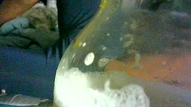 Snapshot of DI4MOND_FIR3 chatting on May 19, 2026, 1:56 am DI4MOND FIR3 online show from May 19, 2026, 1:56 am