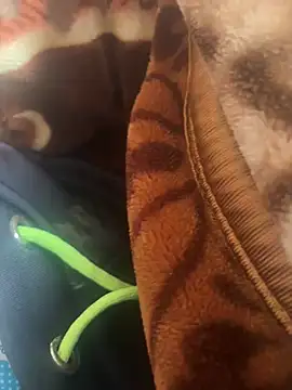 ariyan kkc 1999 online show from December 20, 2024, 3:03 am