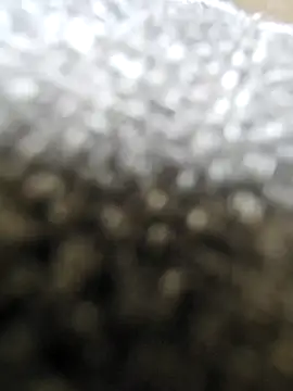 Snapshot of Moonbadboyss chatting on October 9, 2025, 8:04 am Moonbadboyss online show from October 9, 2025, 8:04 am