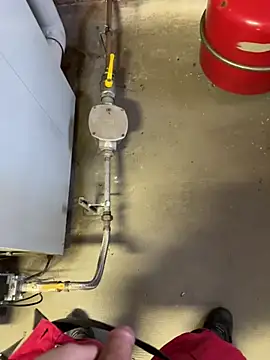 Loveboy 1987 online show from March 5, 2026, 8:00 am