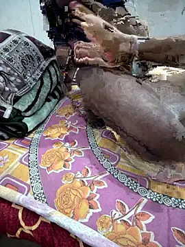 FeltedEuropium online show from November 18, 2025, 8:17 am