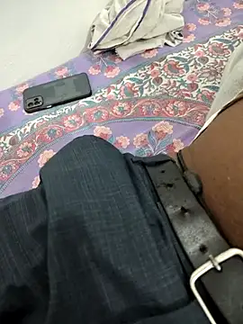 FeltedEuropium online show from February 10, 2026, 9:41 am