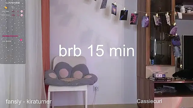 art phoenix online show from February 23, 2025, 7:49 pm