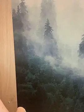 Snapshot of ladoucedu34 chatting on February 26, 2026, 9:59 pm ladoucedu34 online show from February 26, 2026, 9:59 pm