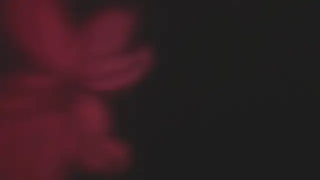 Lola69Rosexxx online show from February 2, 2025, 9:45 pm