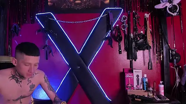 Snapshot of alexa_n_alex chatting on February 13, 2026, 2:50 pm alexa n alex online show from February 13, 2026, 2:50 pm