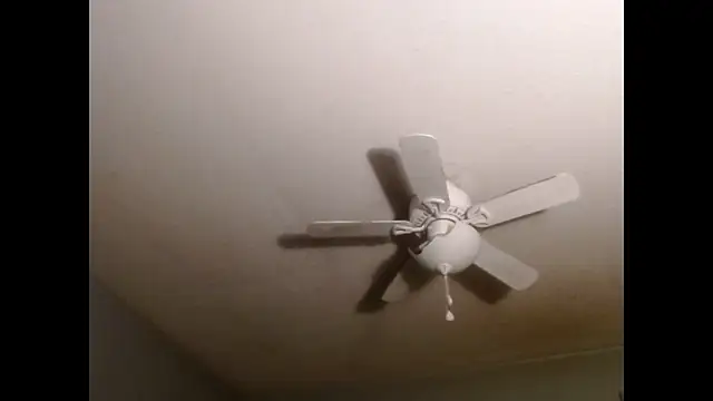 VanceFontaine online show from December 19, 2025, 4:05 am