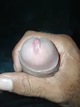 taylorWiiz online show from January 8, 2026, 4:29 am