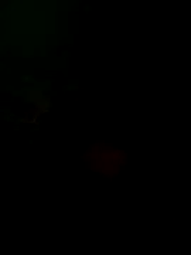 taylorWiiz online show from October 16, 2025, 5:32 pm