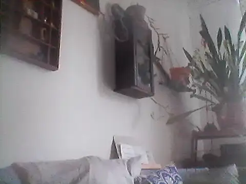 Bigpenis6y online show from December 29, 2024, 1:17 pm