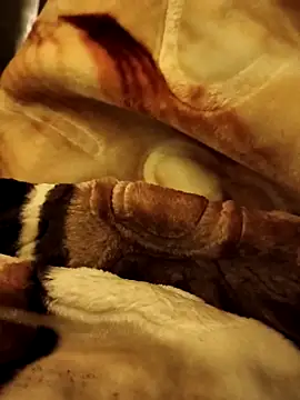 Snapshot of yhona_darling chatting on December 16, 2025, 5:17 pm yhona darling online show from December 16, 2025, 5:17 pm