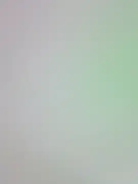 -Zelda- online show from October 24, 2025, 8:30 pm