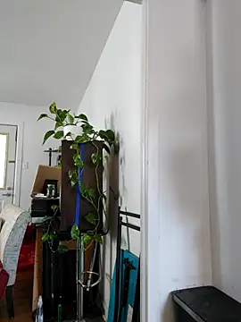 Snapshot of QcMisterv13 chatting on September 30, 2025, 2:23 pm QcMisterv13 online show from September 30, 2025, 2:23 pm