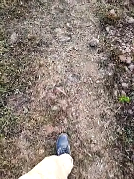 Ishan003 online show from February 5, 2026, 1:34 am