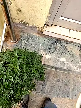 Snapshot of Ishan003 chatting on March 6, 2026, 3:12 am Ishan003 online show from March 6, 2026, 3:12 am