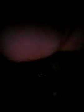 Snapshot of chubbybear322 chatting on December 19, 2025, 10:56 pm chubbybear322 online show from December 19, 2025, 10:56 pm