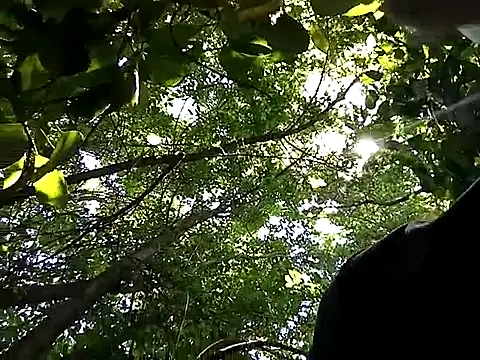 Snapshot of angelcachondo199211 chatting on November 3, 2025, 5:05 pm angelcachondo199211 online show from November 3, 2025, 5:05 pm