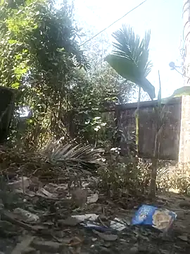 Snapshot of AssamSilchar93 chatting on February 8, 2026, 6:55 am AssamSilchar93 online show from February 8, 2026, 6:55 am