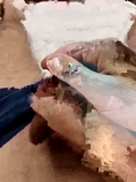 Snapshot of Sperma-V-rotik chatting on December 22, 2025, 6:19 pm Sperma-V-rotik online show from December 22, 2025, 6:19 pm