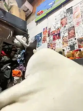 Snapshot of dafne19_ chatting on February 6, 2026, 4:08 am dafne19 online show from February 6, 2026, 4:08 am