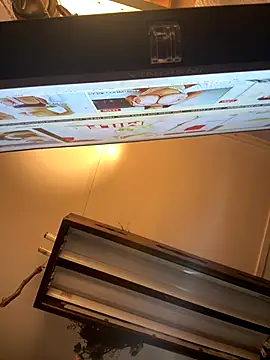 hotNReady6969 online show from December 3, 2025, 2:49 pm