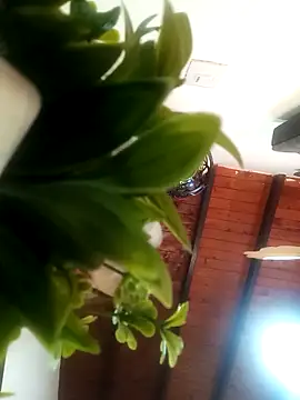 Mia ross16 online show from March 7, 2025, 7:16 pm