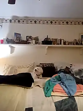 Hand69someguy online show from October 4, 2025, 10:33 pm