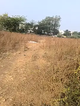 Abinash7732 online show from January 14, 2025, 3:53 am