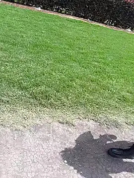 sophie banger online show from November 4, 2025, 4:11 pm