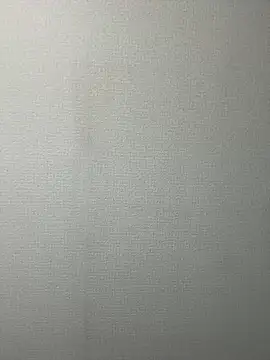 SL PUSSY EATER online show from September 15, 2025, 6:19 pm