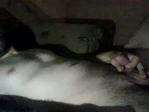 Vicktore007 online show from September 13, 2025, 9:37 pm