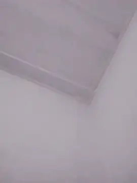 Snapshot of Srah0 chatting on April 15, 2026, 12:21 pm Srah0 online show from April 15, 2026, 12:21 pm