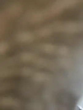 BhadBhad Kitty online show from February 14, 2025, 6:45 am