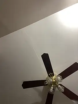 Snapshot of islandvybee55 chatting on March 20, 2026, 2:07 pm islandvybee55 online show from March 20, 2026, 2:07 pm