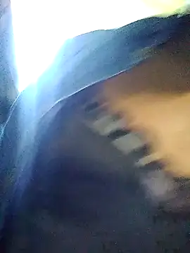 TransCya2024 online show from November 7, 2025, 3:38 pm