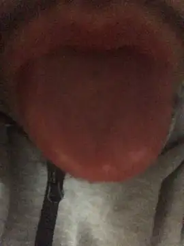 Snapshot of favormaker chatting on December 21, 2024, 8:07 am favormaker online show from December 21, 2024, 8:07 am