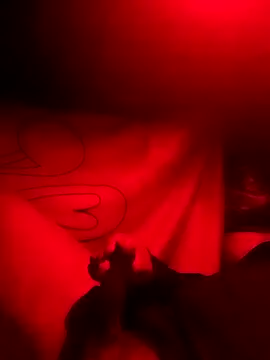 Snapshot of rayhot69 chatting on December 23, 2024, 3:50 am rayhot69 online show from December 23, 2024, 3:50 am