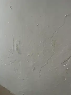 Popinasq online show from November 15, 2025, 3:49 pm