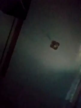 Snapshot of BriannaVincent chatting on March 20, 2026, 4:35 am BriannaVincent online show from March 20, 2026, 4:35 am