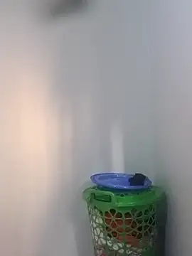 Snapshot of BriannaVincent chatting on February 5, 2026, 4:41 am BriannaVincent online show from February 5, 2026, 4:41 am